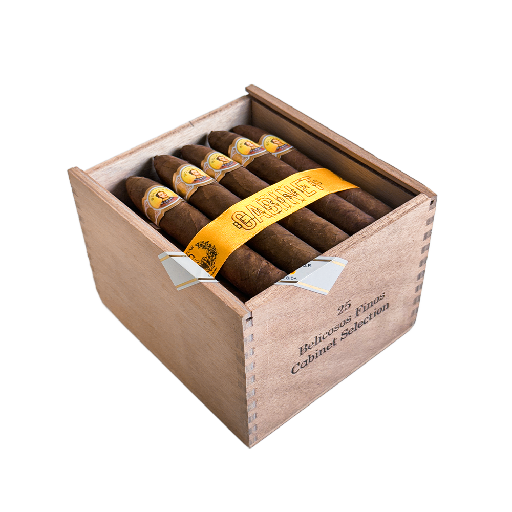 BOLIVAR BELICOSOS FINOS 玻利瓦爾 魚雷 BBF